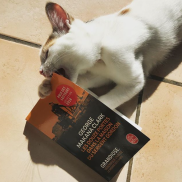 Capture d_écran 2018-03-04 à 10.03.54