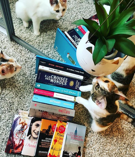 [Bilan mensuel] • Mars • 2018/03