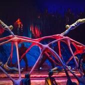 TOTEM | Touring Show | Cirque du Soleil