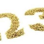 Les bienfaits des Oméga 3 et des Oméga 6 Les bienfaits des Oméga 3 et des Oméga 6