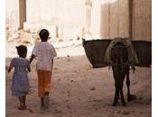 Maroc fiasco l’Initiative Nationale pour Développement Humain.