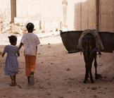 Maroc : le fiasco de l’Initiative Nationale pour le Développement Humain.