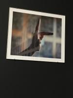 L'invention de Morel ou la Machine à images, exposition à la Maison de l'Amérique latine IMG_4144