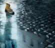 Critique Livre – Ne me quitte pas : et si vous n’aviez d’autre choix que de disparaître ? Critique Livre – Ne me quitte pas : et si vous n’aviez d’autre choix que de disparaître ?