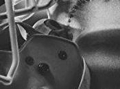 avis sulfureux Defy Shen prequel saga Sinners Saint