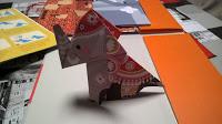 Mes animaux en origami de Lucy Bowman