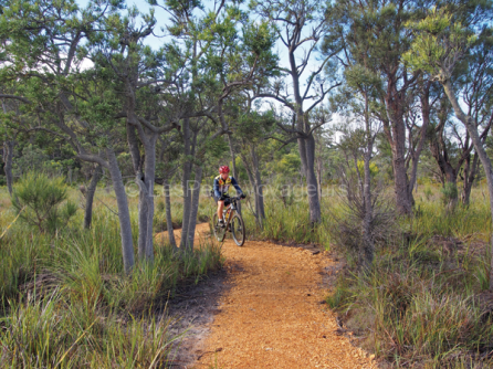 1000 km de piste réservée aux VTT en Australie : The Munda Biddi Trail
