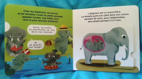 L’éléphant – Charles Paulsson L’éléphant – Charles Paulsson