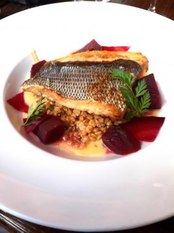 Filet de daurade © Gourmets&co Filet de daurade © Gourmets&co