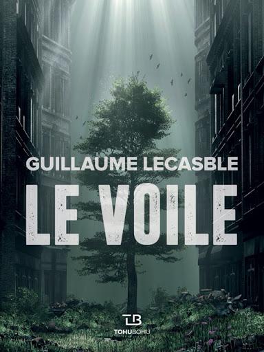 Le voile - Guillaume Lecasble