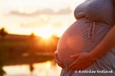 Pesticides : alerte sur l'effet des néonicotinoïdes sur les femmes enceintes