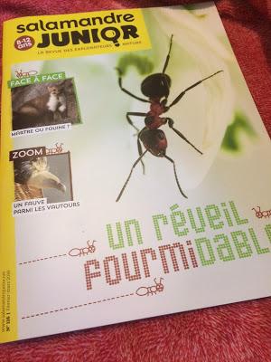 Magazine Salamandre Junior Magazine Salamandre Junior
