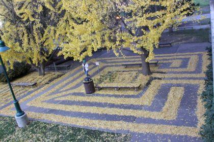 Labyrinthes feuilles mortes de Joanna Hedrick