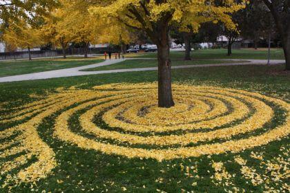 Labyrinthes feuilles mortes de Joanna Hedrick