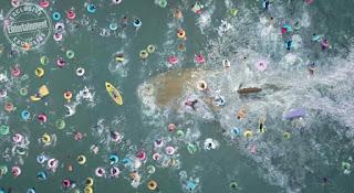 Nouvelle image pour En Eaux Troubles de Jon Turtletaub