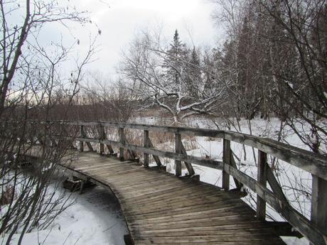 Pays Etranger - Canada - Région de l'Estrie - 1