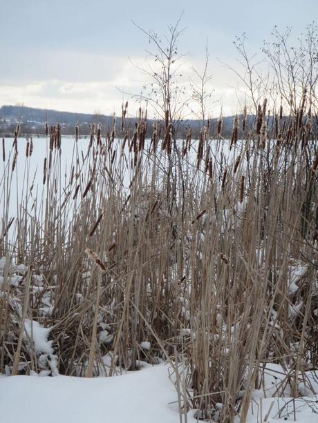 Pays Etranger - Canada - Région de l'Estrie - 1