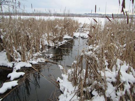 Pays Etranger - Canada - Région de l'Estrie - 1