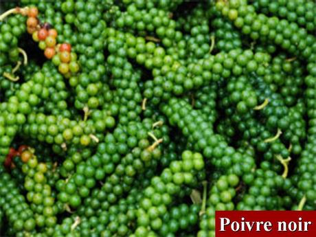 Divers - Quel est le nom de ces arbres et de leurs fruits - 2