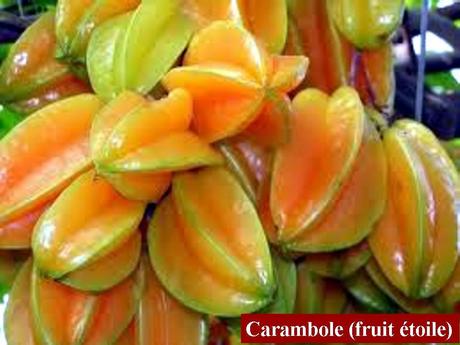 Divers - Quel est le nom de ces arbres et de leurs fruits - 2