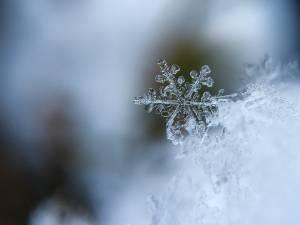 generation snowflake – flocon de neige