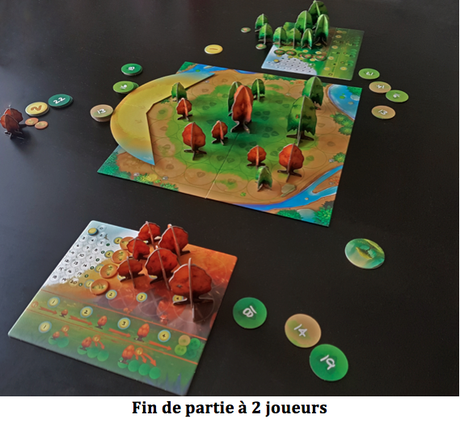 Photosynthesis, l’appel de la forêt chez Blue Orange !