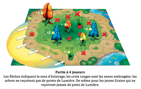 Photosynthesis, l’appel de la forêt chez Blue Orange ! Photosynthesis, l’appel de la forêt chez Blue Orange !