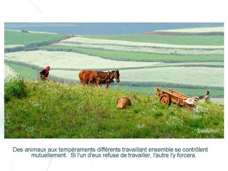 Pays Etrange - Chine - Le Yunnan