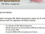 SUPERHERO Marius Joergensen -Galerie Goutal Avril Juin 2018
