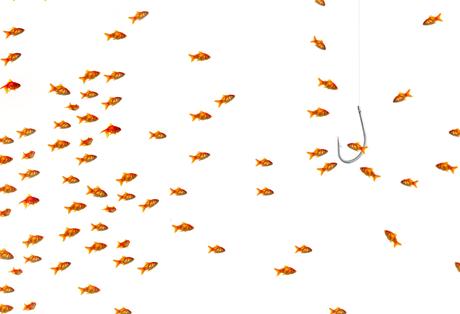 netlinking linkbuilding