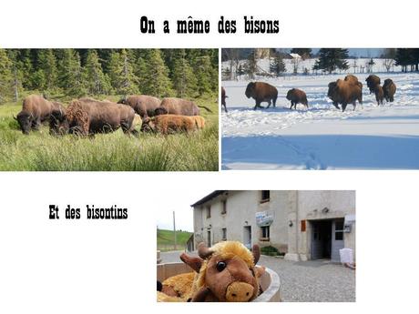 La France - La Franche comté.....