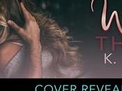 Cover Reveal Découvrez résumé couverture Worth risk Bromberg