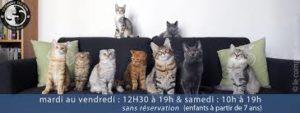 9 idées pour se détendre et lâcher prise Le Comptoir des Chats