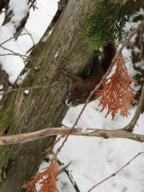 Pays Etranger - Canada - Région de l'Estrie - 2