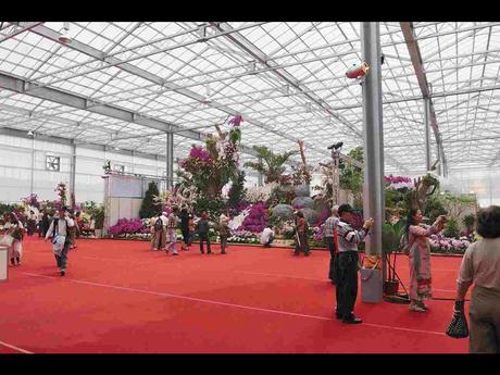 Pays Etranger -  Marché aux Orchidées à Taiwan - 1