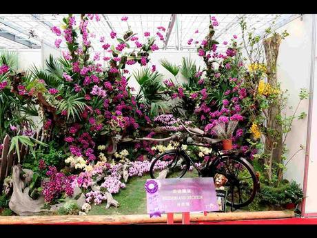 Pays Etranger -  Marché aux Orchidées à Taiwan - 1