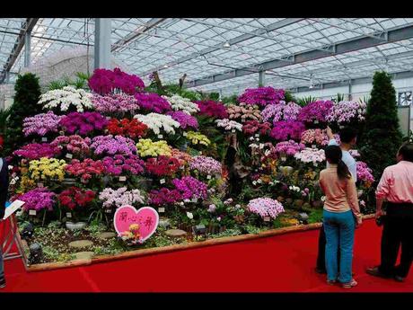 Pays Etranger -  Marché aux Orchidées à Taiwan - 1