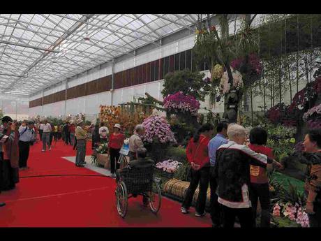 Pays Etranger -  Marché aux Orchidées à Taiwan - 1