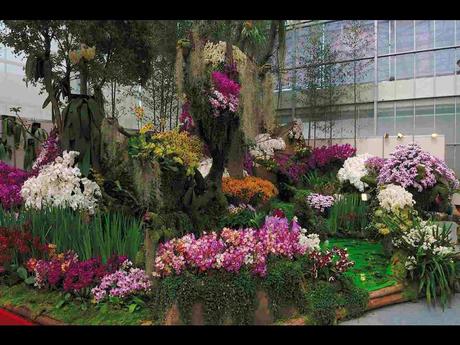 Pays Etranger -  Marché aux Orchidées à Taiwan - 1