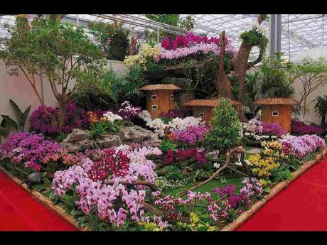 Pays Etranger -  Marché aux Orchidées à Taiwan - 1