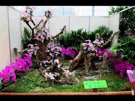 Pays Etranger -  Marché aux Orchidées à Taiwan - 1