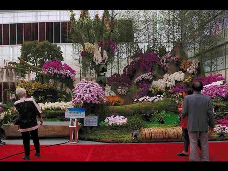Pays Etranger -  Marché aux Orchidées à Taiwan - 1