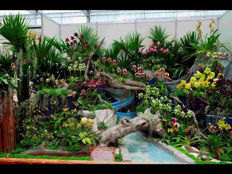 Pays Etranger -  Marché aux Orchidées à Taiwan - 1