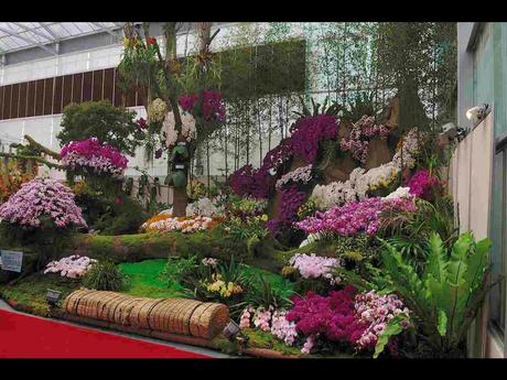 Pays Etranger -  Marché aux Orchidées à Taiwan - 1