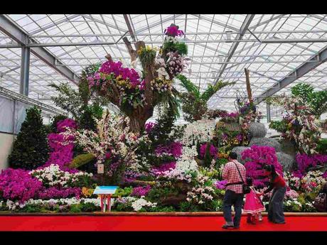 Pays Etranger -  Marché aux Orchidées à Taiwan - 1