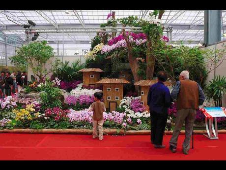 Pays Etranger -  Marché aux Orchidées à Taiwan - 1
