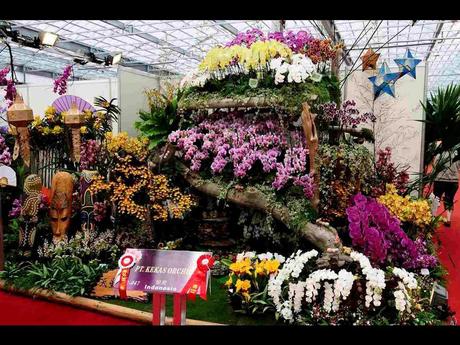 Pays Etranger -  Marché aux Orchidées à Taiwan - 1