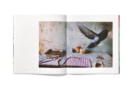 ALEX WEBB & REBECCA NORRIS WEBB – VIOLET ISLE ALEX WEBB & REBECCA NORRIS WEBB – VIOLET ISLE