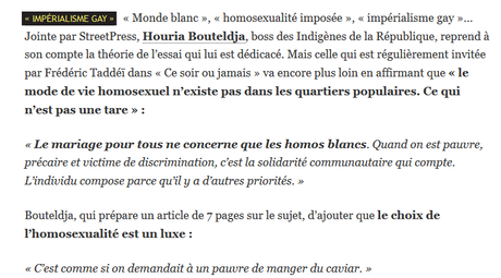 Le meilleur du #PIR : serions nous dominé.e.s par « l’impérialisme gay » ?