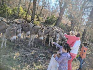 Découvrir la Provence ‘Hors Saison’ en famille.